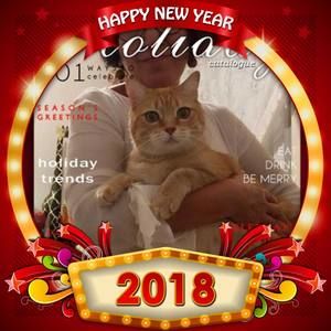 Meet your Posher, Rosario